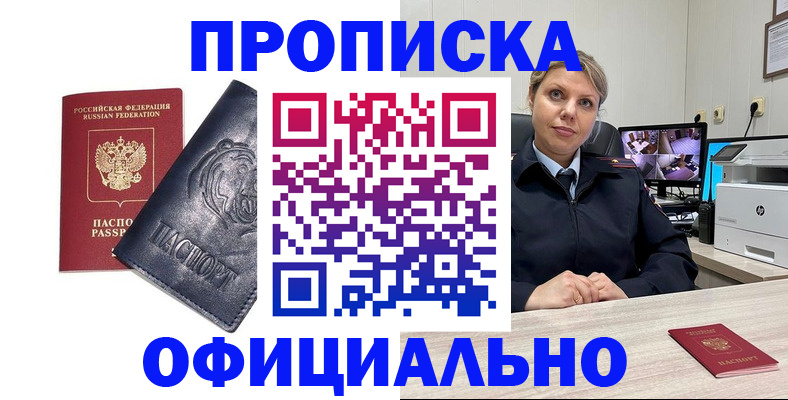 где прописаться в Нелидово
